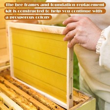 10 Assembled Beehive Frames