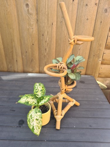 Cute small vintage bamboo - **small,