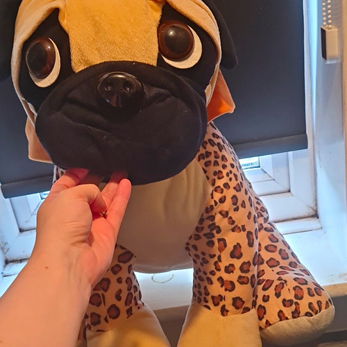 Pawz large plush pug - pawz, dog