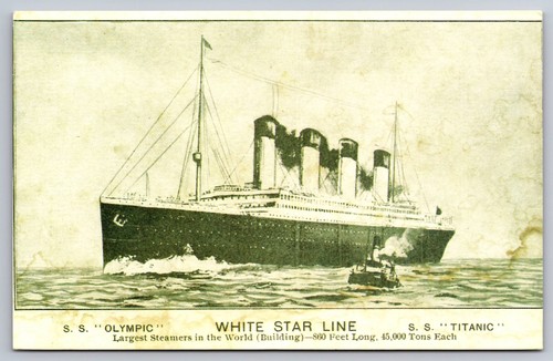 Olympic white star - line, &
