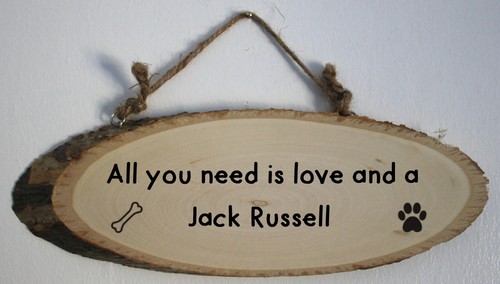 All you need love and - is,