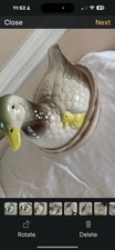 Vintage Duck Egg Holder 1950sKitchen Duckling ChickenCeramic Tureen Nesting