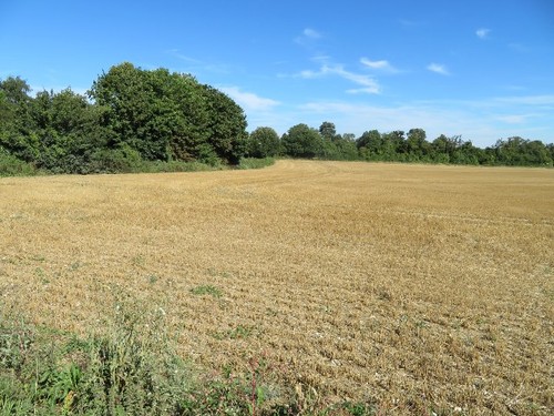 Photo 6x4 lower field 5 - 6x4,