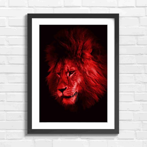 Majestic male lion - male,
