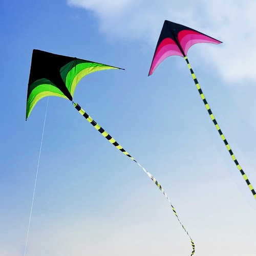 Large delta kite for adults - for, &