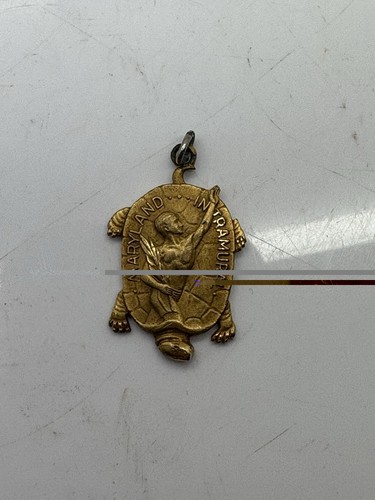 Vintage charm turtle terrapin - turtle,