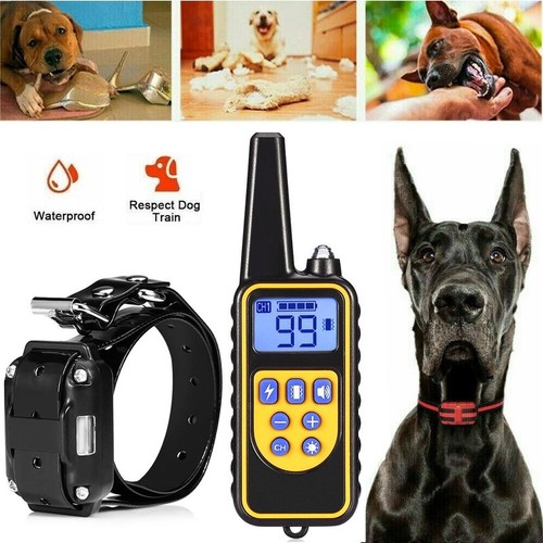 Dog pet training collar - training,