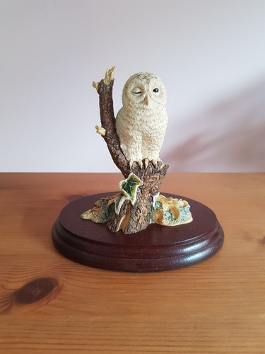 Border fine arts one owlet - border,