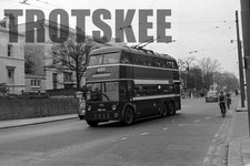 35mm Negative Reading