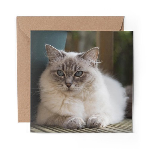 Blank greeting card - 1,