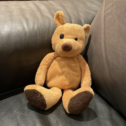 Newton law teddy bear - bear, rory