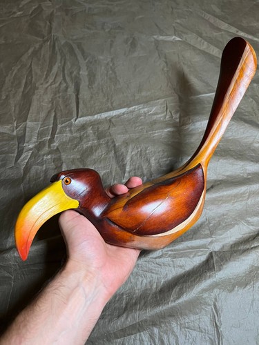 Feathers knysna hornbill - by,