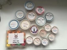 Vendor Wax Melt Destash ~ Flossy & Sass There’s No Smell Like Home Smelly scents