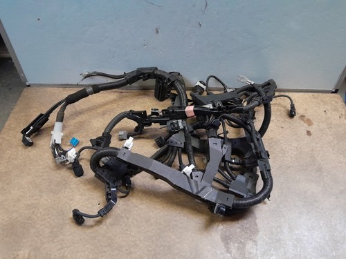 Toyota rav4 xa50 5l - xa50, 2.5l