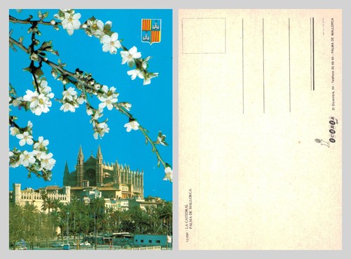 Postcard catedral palma - -,