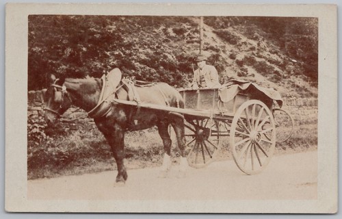 Deepcar local horse - horse, cart