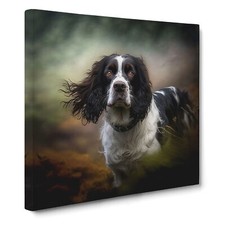 English Springer Spaniel