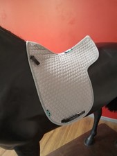 Light Grey Nuumed Griffin