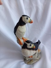 Stunning Rare Teviotdale