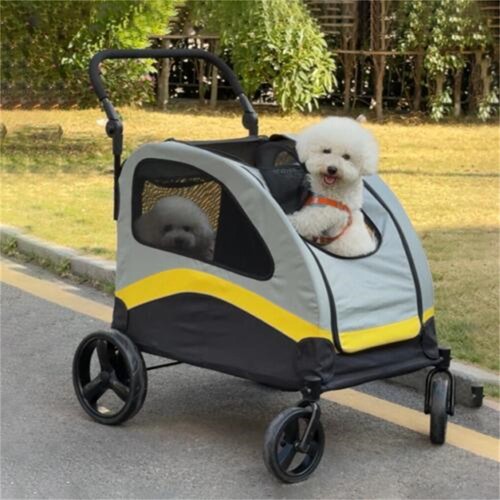 Partition design double - design, dog