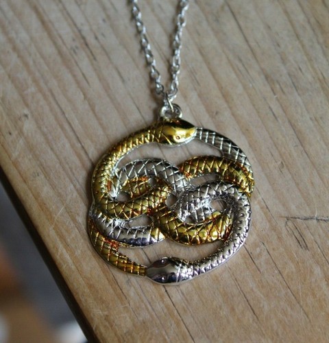 The neverending story necklace - the,