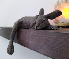Harlan sleeping hare - harlan,