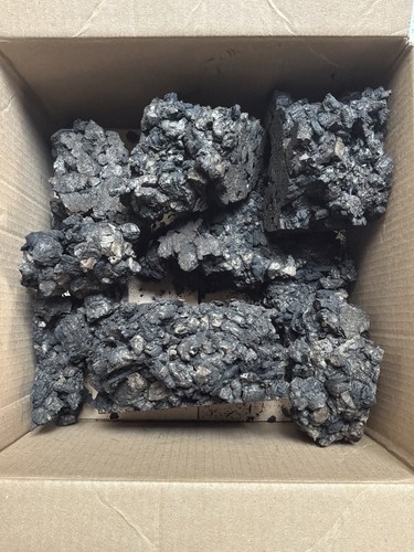 Carbonised cork reptile - cork,
