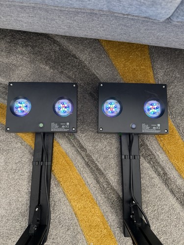 Hydra 32hd marine aquarium - hydra,