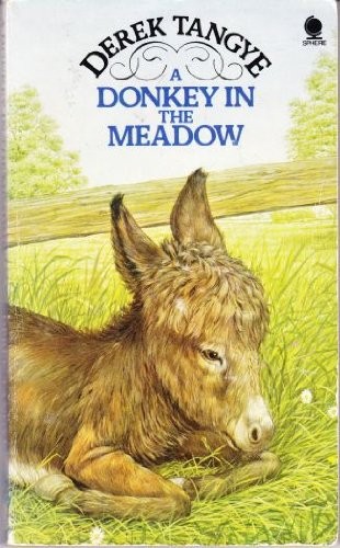 Donkey the meadow - donkey,