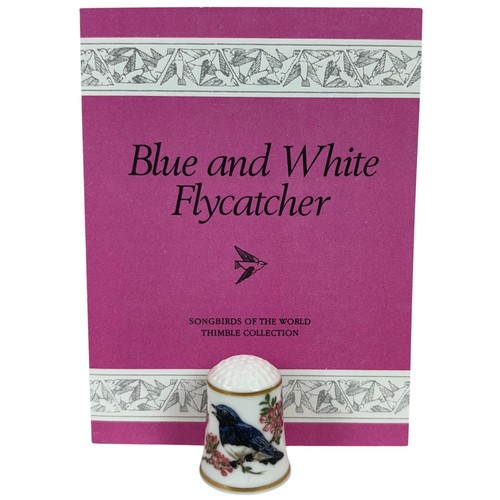 Songbirds world blue - songbirds,