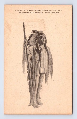 Figure plains indian chief - ~,