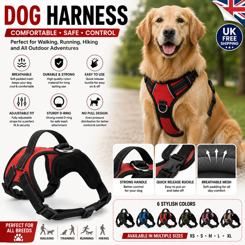 Adjustable dog harness nylon - adjustable,