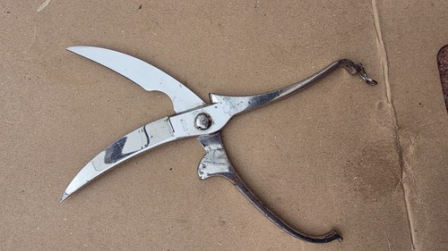 Coricama poultry shears - shears, italy