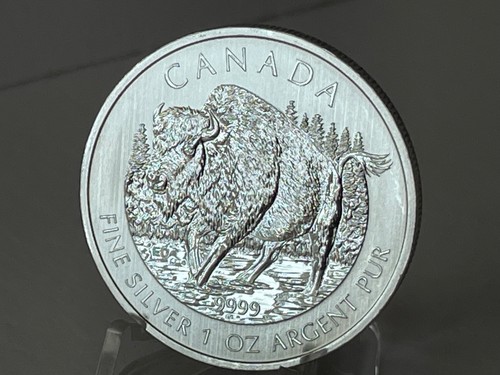 1oz royal canadian mint 9999 - mint, .9999