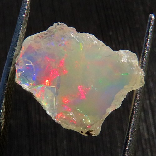 Genuine play fire ethiopian - fire,