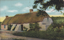 Vintage Postcard - A Real