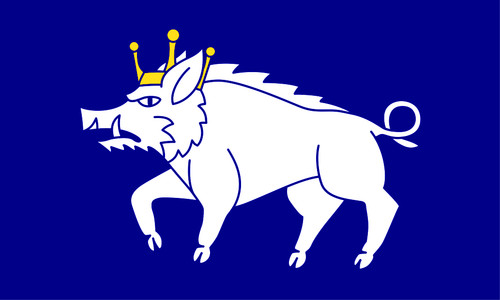 Kingswinford flag self - kingswinford,