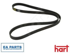 V-Ribbed Belt for CITROËN XM