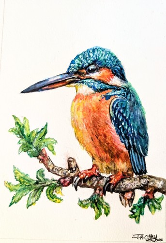 Original hand painted - , bird