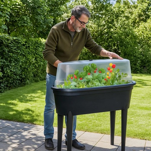 Mini greenhouse propagator - greenhouse,