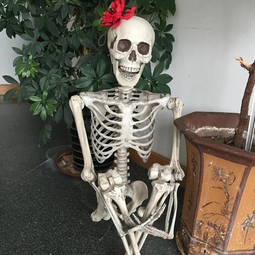 Giant life size human - size, skeleton