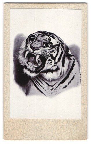 Photography painting tiger - photography, painting: