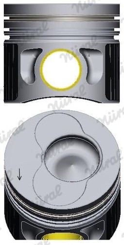 Fits nural 139507 20 - fits, 87-139507-20