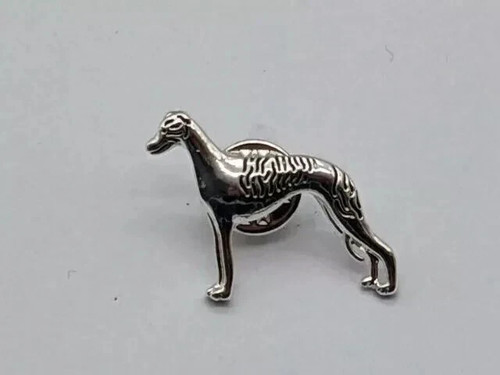 Greyhound whippet lurcher dog - greyhound,