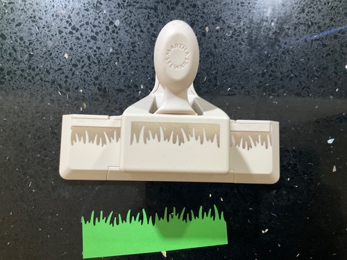 Rare martha stewart grass - rare,