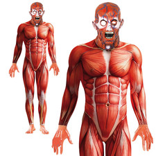 X Ray Second Skin Suit Anatomy