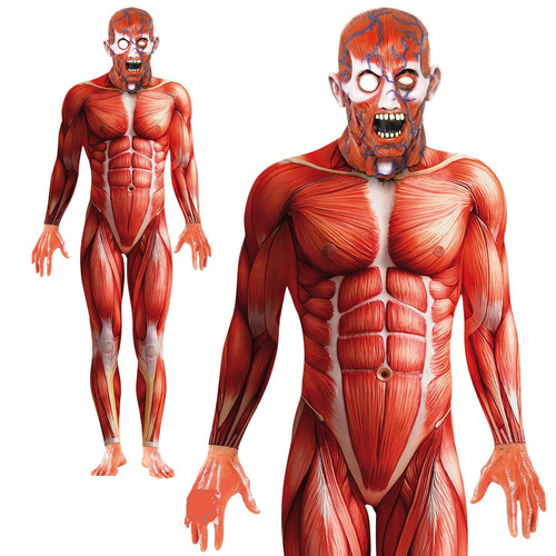 Ray second skin suit - ray, anatomy