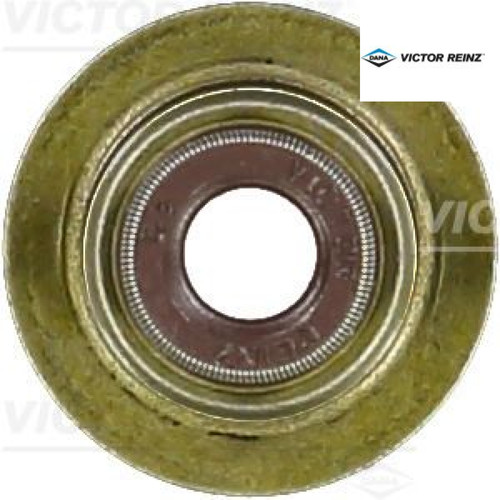 Seal ring valve - valve, stem