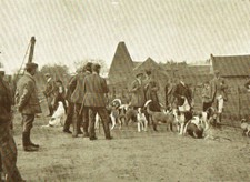 Otter Hunting Crowhurst Otter Hounds 1905 Photo Article P766