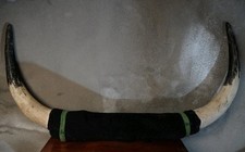 Authentic Real Bull Cow